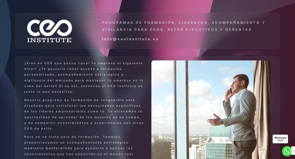 CEO Institute CEO Institute